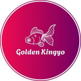 Golden_Kingyo Golden_Kingyo